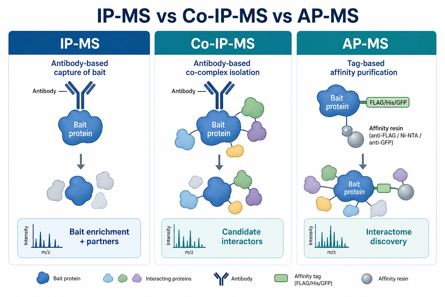 Comparison of IP-MS Co-IP-MS and AP-MS capture strategies for protein interaction studies