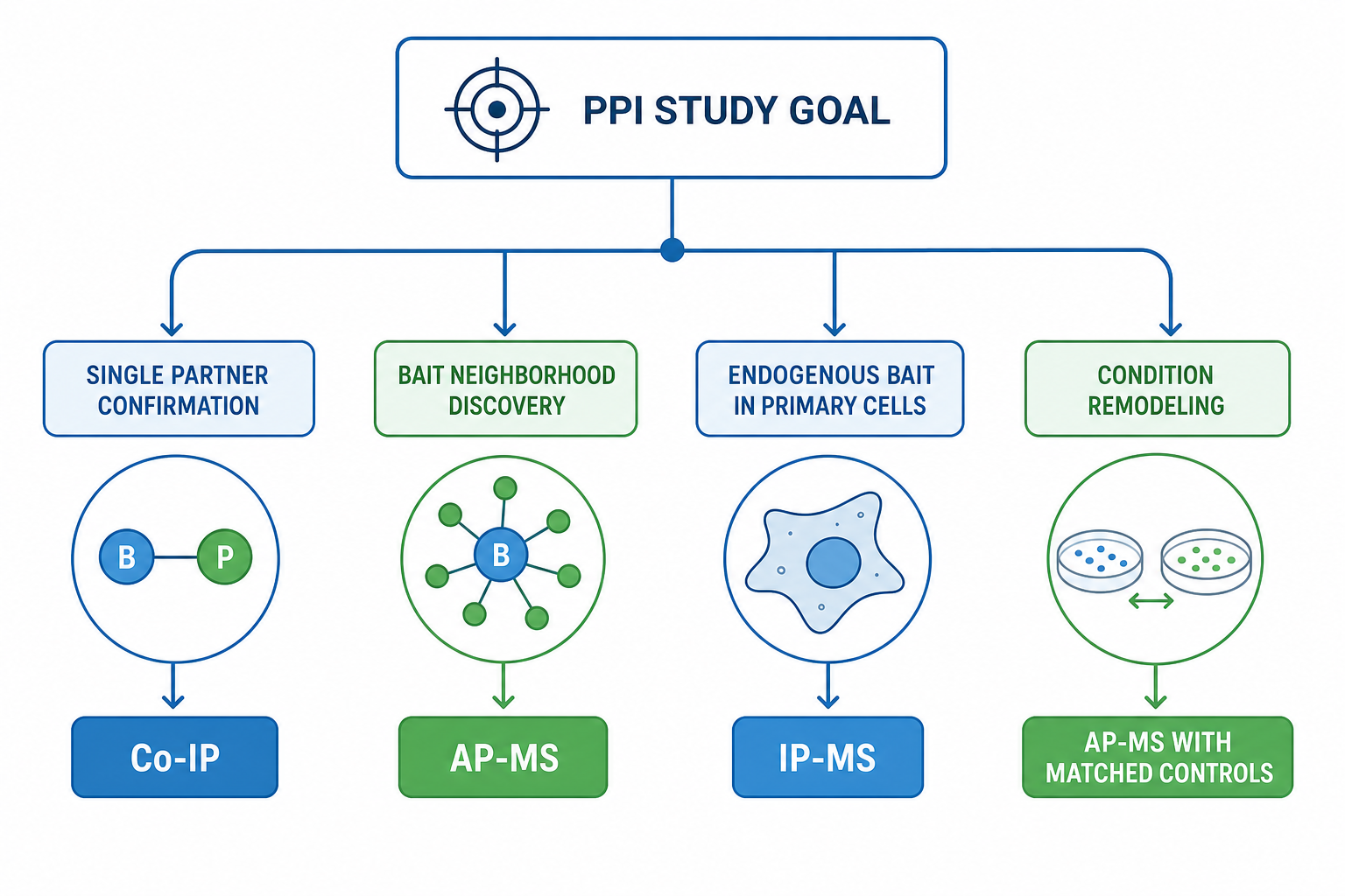 Decision tree for when to use AP-MS in protein interaction studies by PPI study goal bait format and validation need Decision tree for when to use AP-MS in protein interaction studies by PPI study goal bait format and validation need