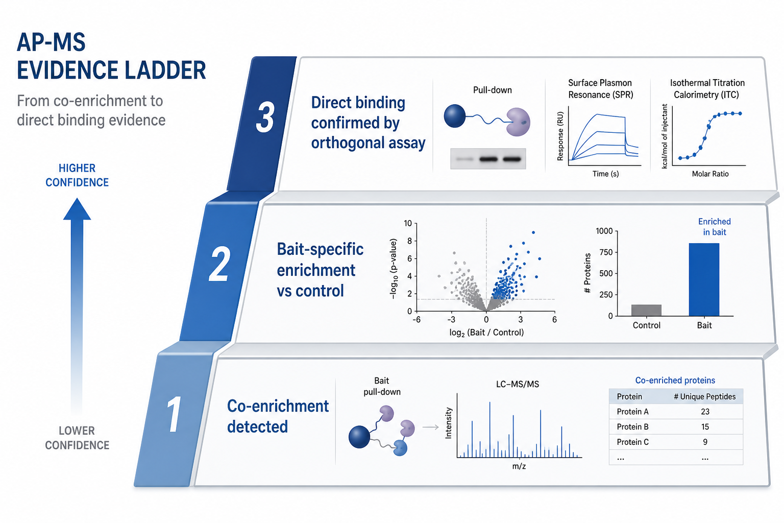 Evidence ladder for AP-MS from co-enrichment detection through control-based specificity to orthogonal binding confirmation Evidence ladder for AP-MS from co-enrichment detection through control-based specificity to orthogonal binding confirmation