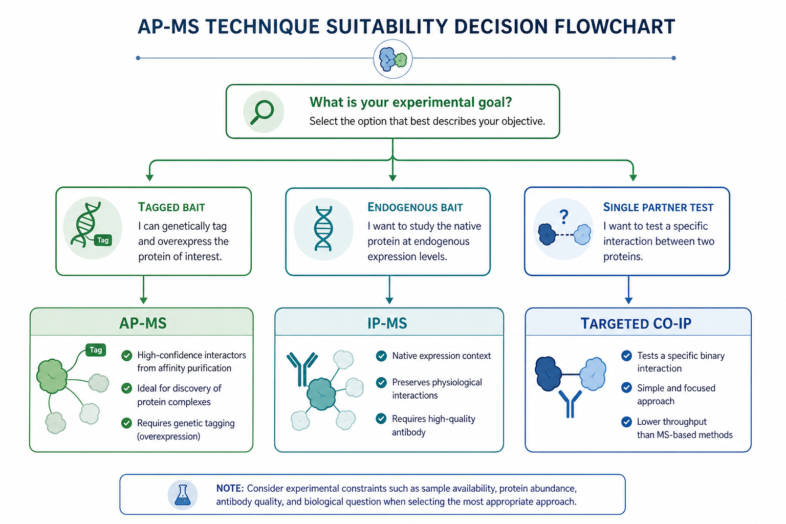 Decision flowchart for when to use AP-MS versus IP-MS or targeted Co-IP validation Decision flowchart for when to use AP-MS versus IP-MS or targeted Co-IP validation