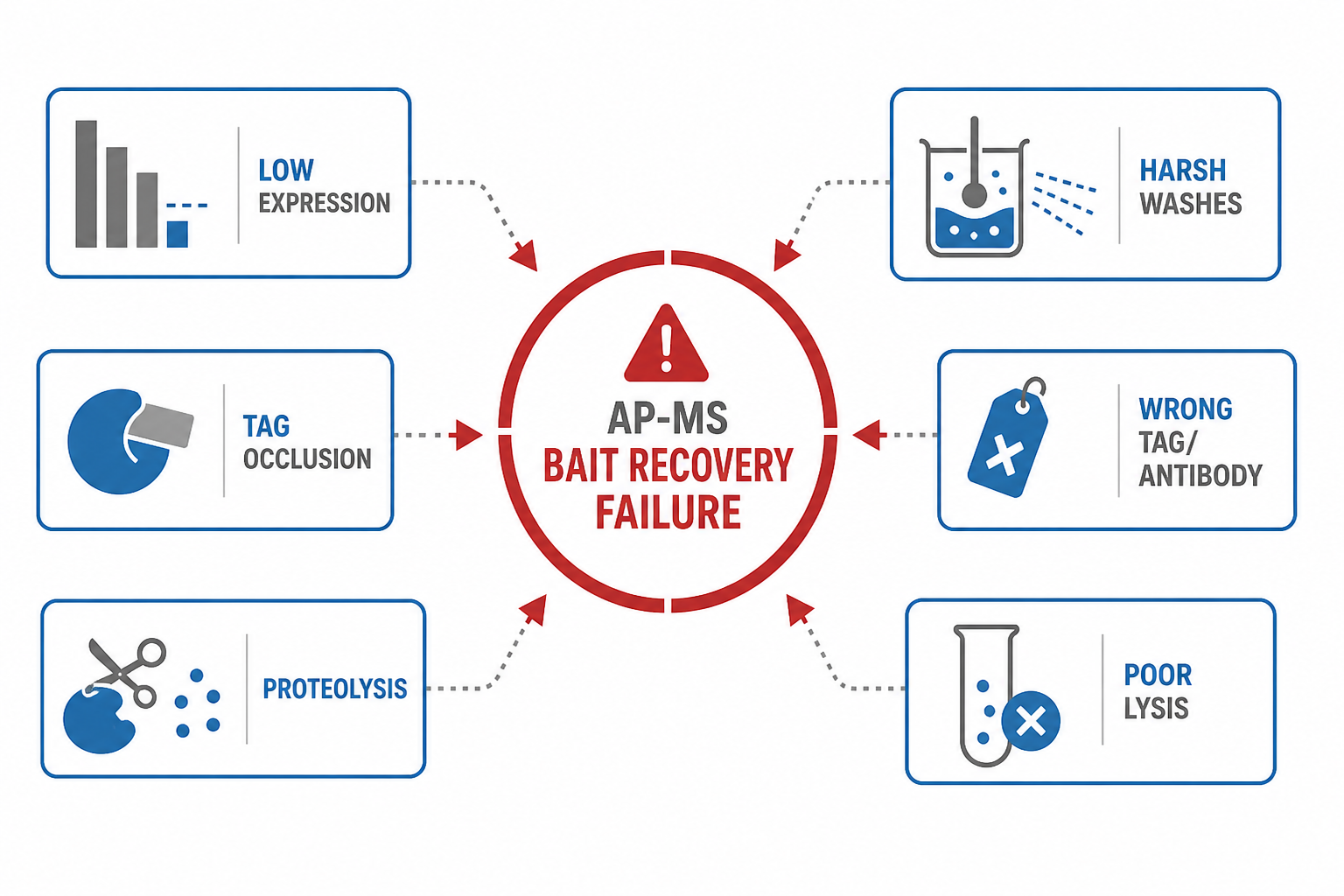 Common causes of missing bait detection in AP-MS including expression tag design wash stringency and MS reporting limits Common causes of missing bait detection in AP-MS including expression tag design wash stringency and MS reporting limits