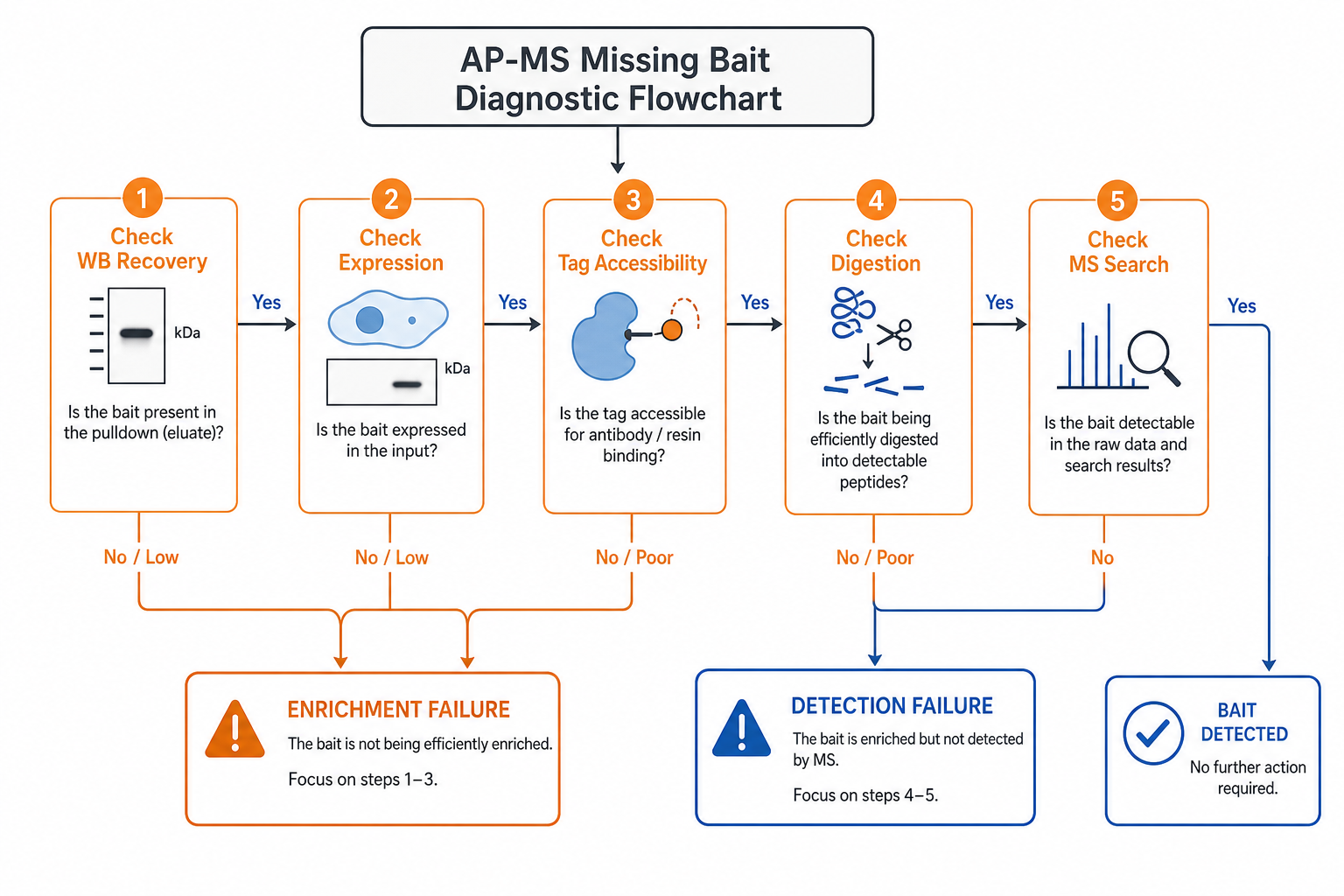 Diagnostic flow for missing bait in AP-MS separating enrichment failure from MS detection failure Diagnostic flow for missing bait in AP-MS separating enrichment failure from MS detection failure