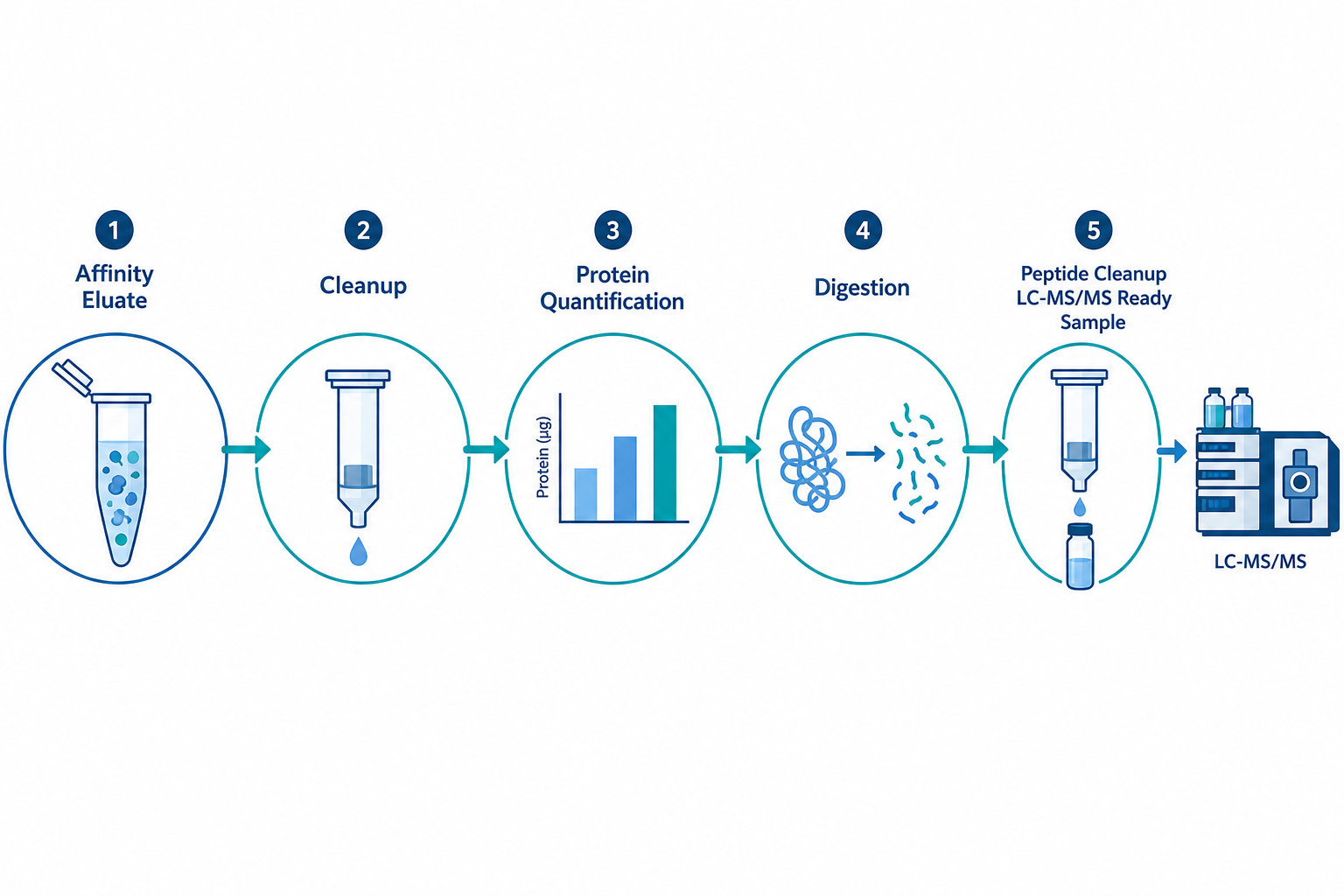 AP-MS sample preparation workflow from eluate assessment through cleanup digestion peptide preparation and LC-MS/MS analysis AP-MS sample preparation workflow from eluate assessment through cleanup digestion peptide preparation and LC-MS/MS analysis
