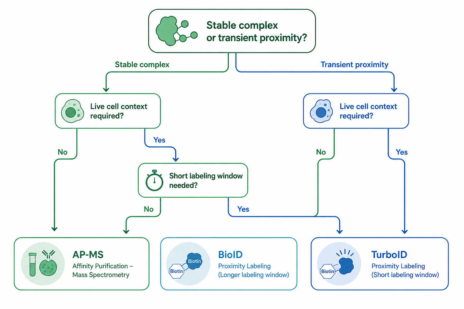 Decision tree for choosing AP-MS BioID or TurboID based on interaction stability live-cell context and labeling window needs Decision tree for choosing AP-MS BioID or TurboID based on interaction stability live-cell context and labeling window needs