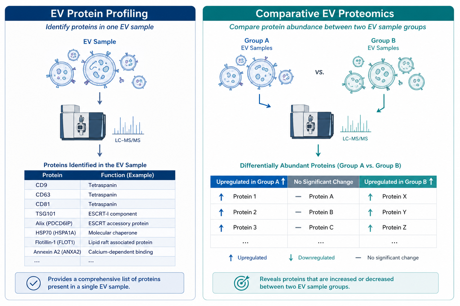Comparison of EV protein profiling and comparative EV proteomics analysis outputs Comparison of EV protein profiling and comparative EV proteomics analysis outputs