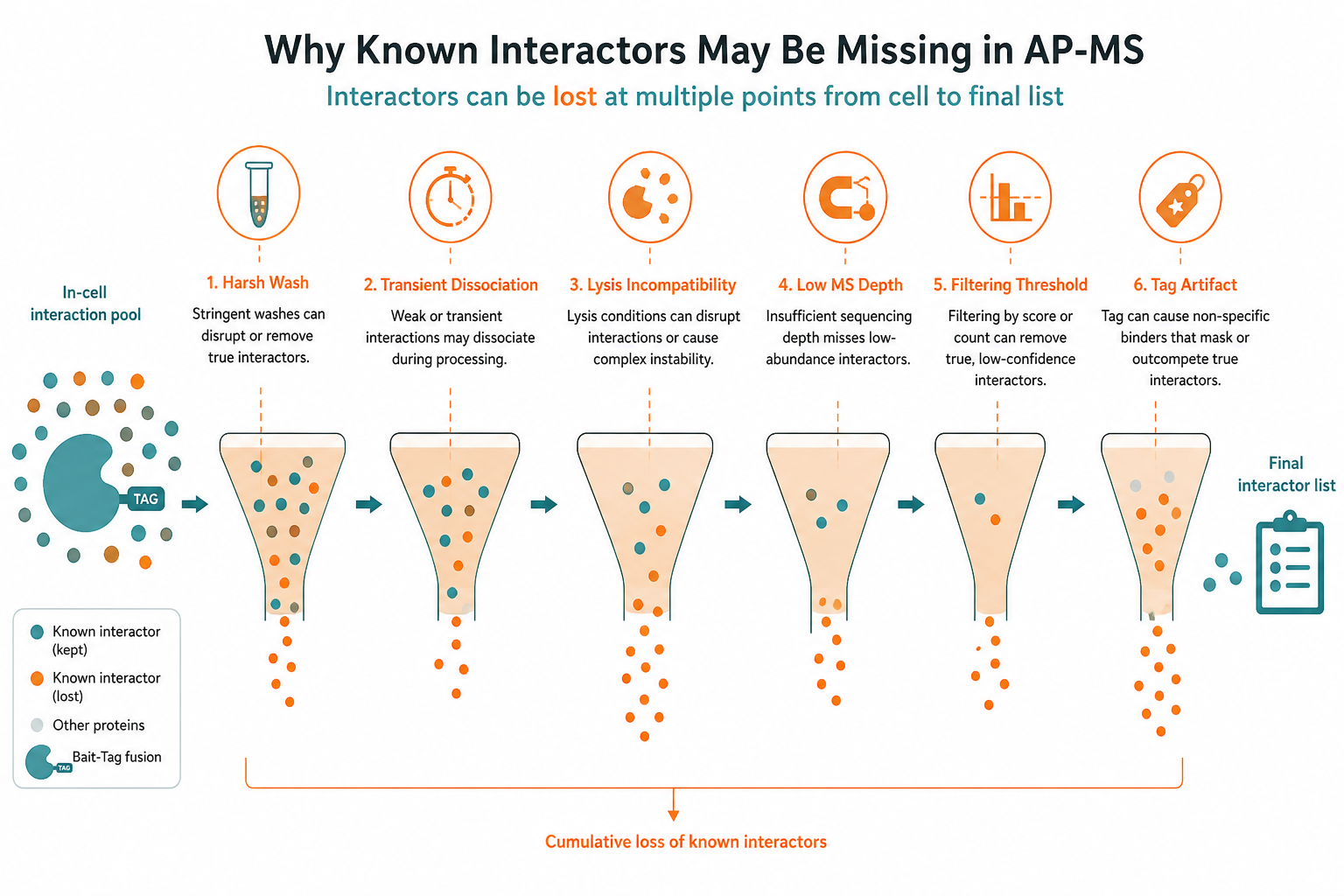 Reasons known interactors may be missing from AP-MS including wash loss bait context mismatch MS depth filtering and biological timing Reasons known interactors may be missing from AP-MS including wash loss bait context mismatch MS depth filtering and biological timing