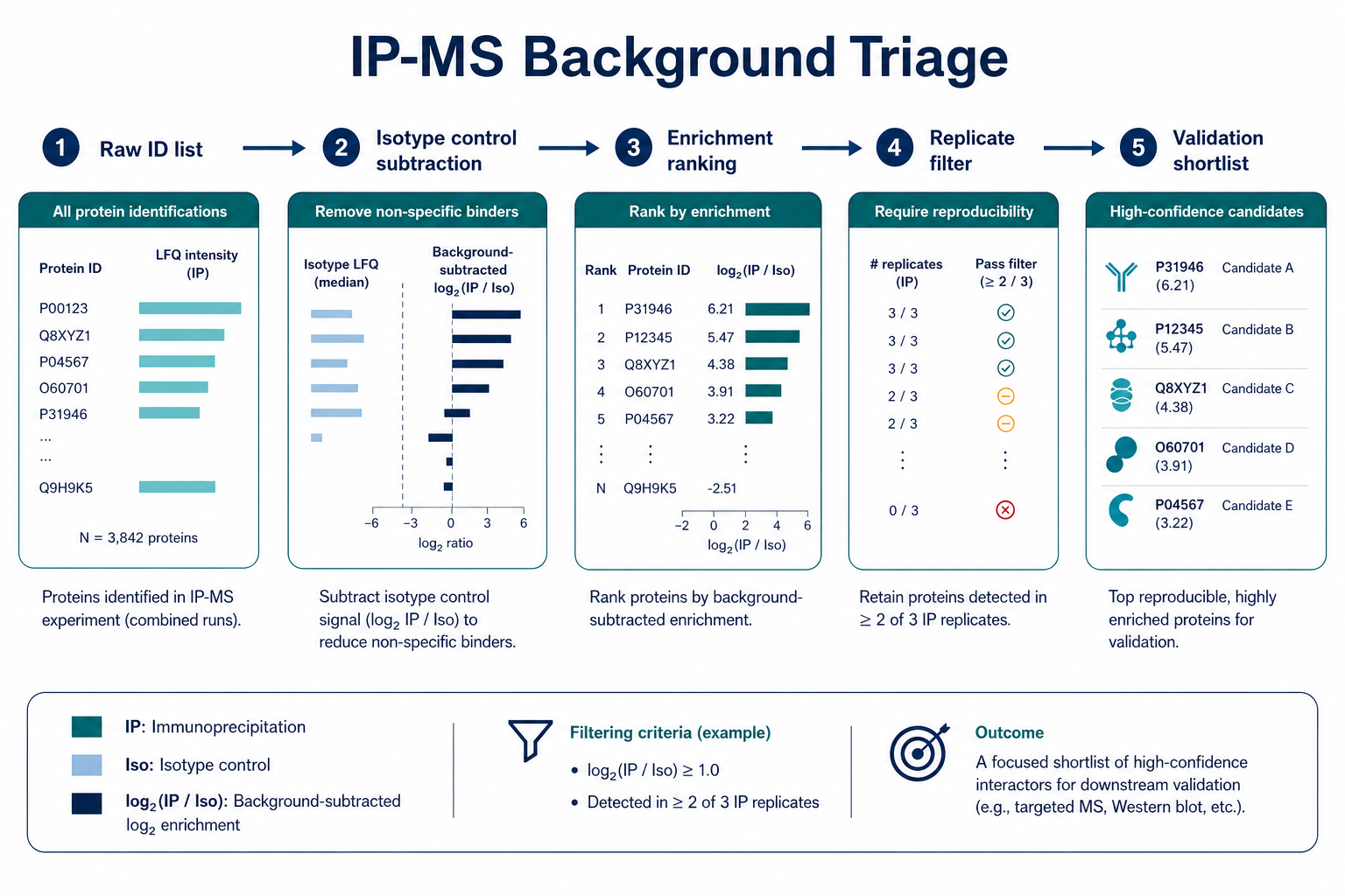 IP-MS background triage workflow from raw identifications through isotype control subtraction enrichment ranking and validation shortlist
