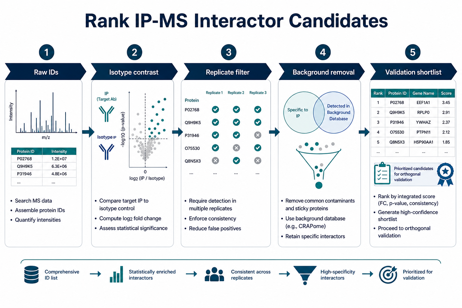 IP-MS interactor ranking workflow from raw identifications through isotype contrast replicate filtering and validation shortlist IP-MS interactor ranking workflow from raw identifications through isotype contrast replicate filtering and validation shortlist