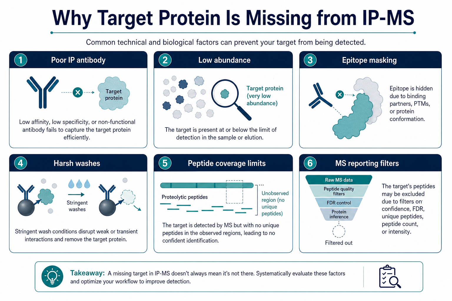 Common causes of missing target detection in IP-MS including antibody performance abundance wash stringency and MS reporting limits Common causes of missing target detection in IP-MS including antibody performance abundance wash stringency and MS reporting limits