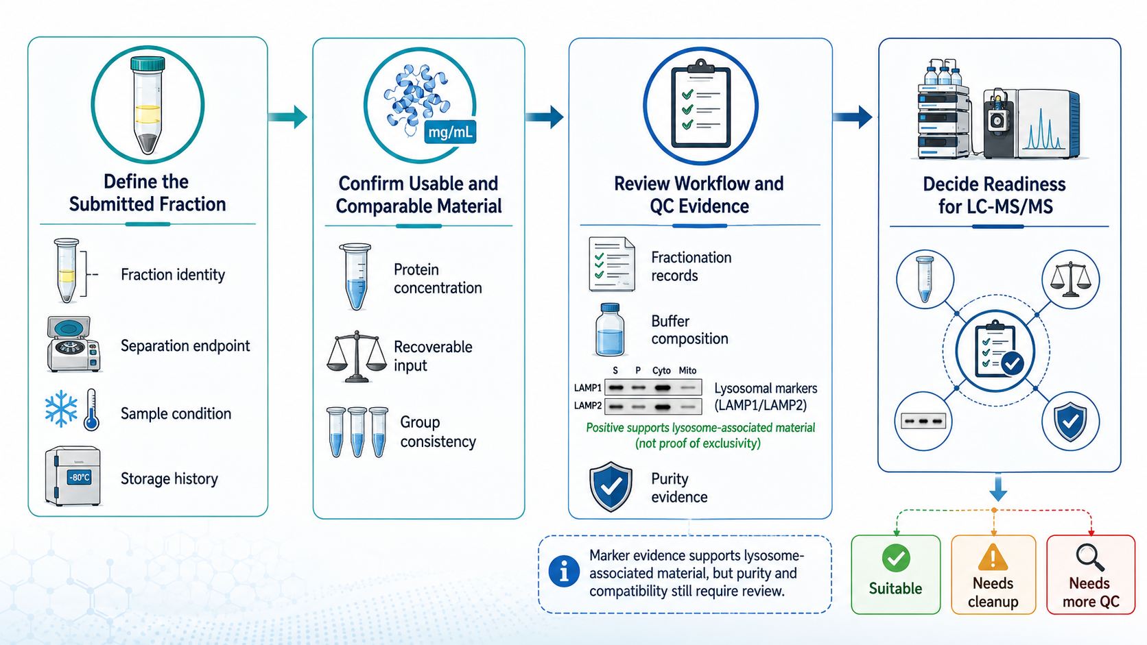 2082385748433129472-lysosome-enriched-fraction-proteomics-service-support-for-protein-identification-and-quantitative-analysis-01.png