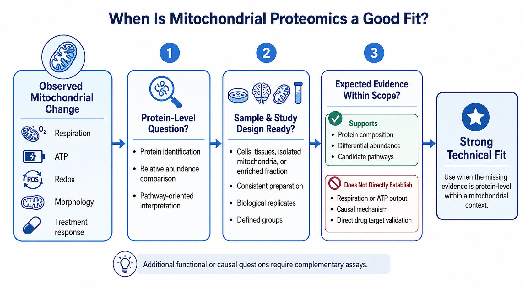 2082387786504163328-when-is-mitochondrial-proteomics-the-right-choice-for-your-research-01.png