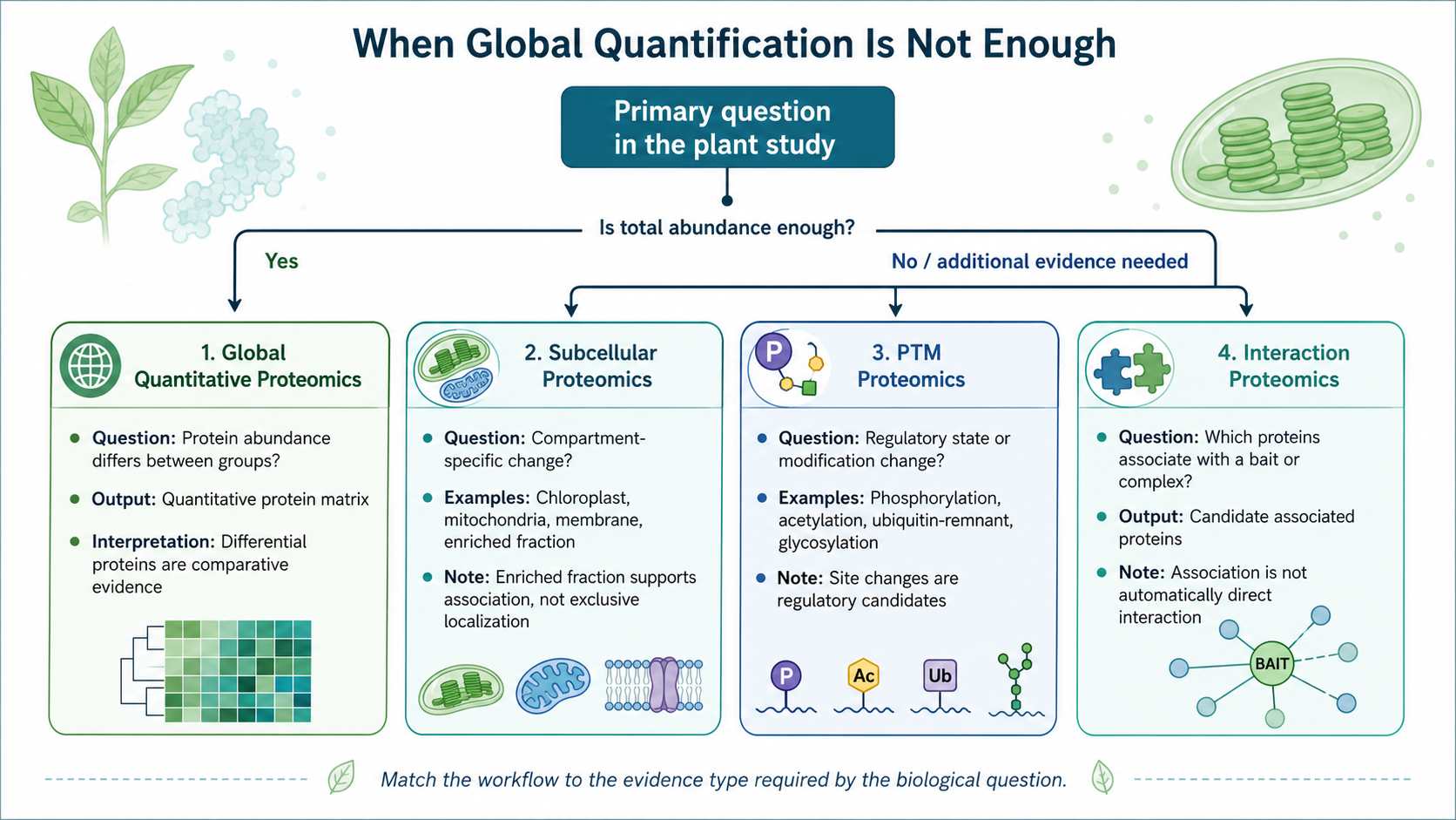 2082390572146970624-choosing-a-quantitative-proteomics-strategy-for-plant-research-02.png