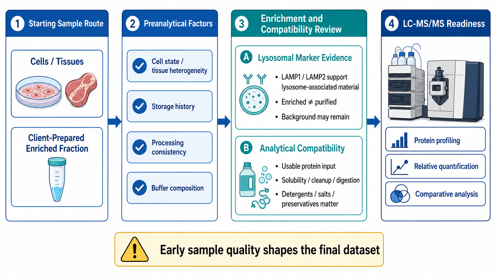 2082701160995704832-lysosomal-proteomics-analysis-service-support-from-lysosome-isolation-to-lc-ms-ms-and-bioinformatics-bs-product-01.png