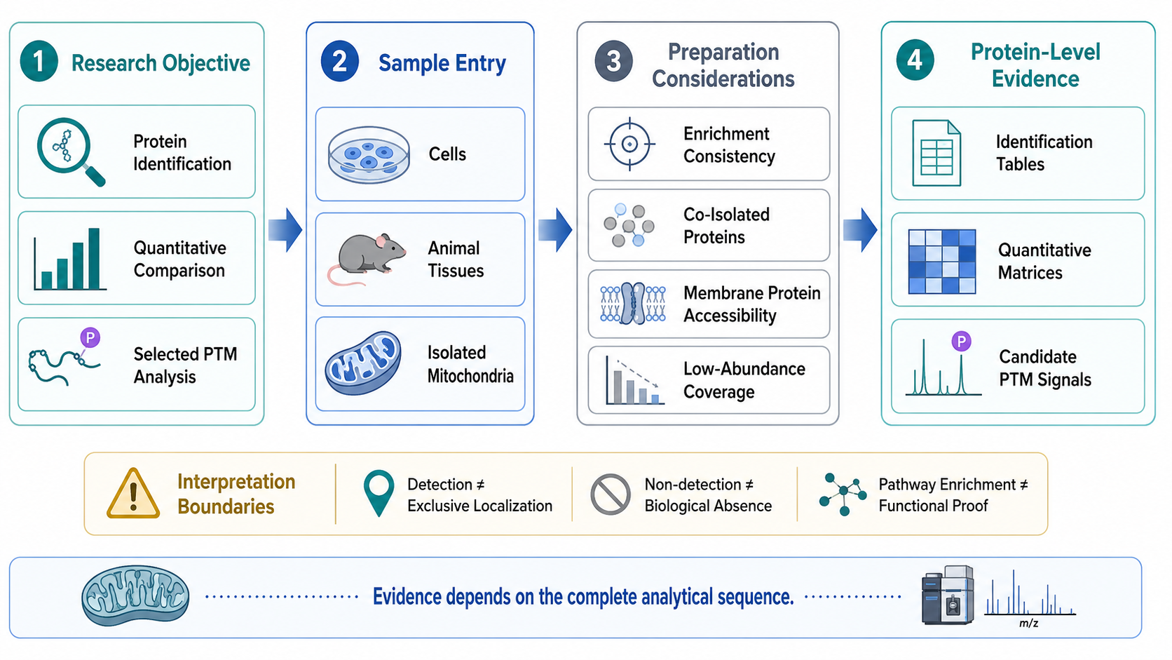 2082703909019799552-how-mitochondrial-proteomics-services-support-research-projects-bs-product-01.png