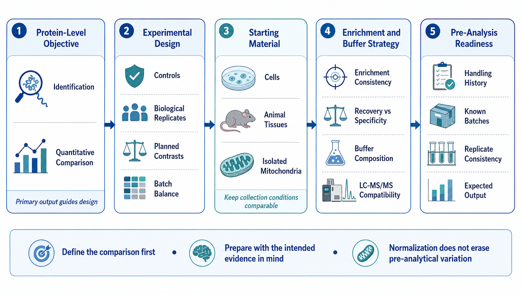 2082720874744598528-what-to-consider-before-starting-a-mitochondrial-proteomics-project-bs-product-01.png