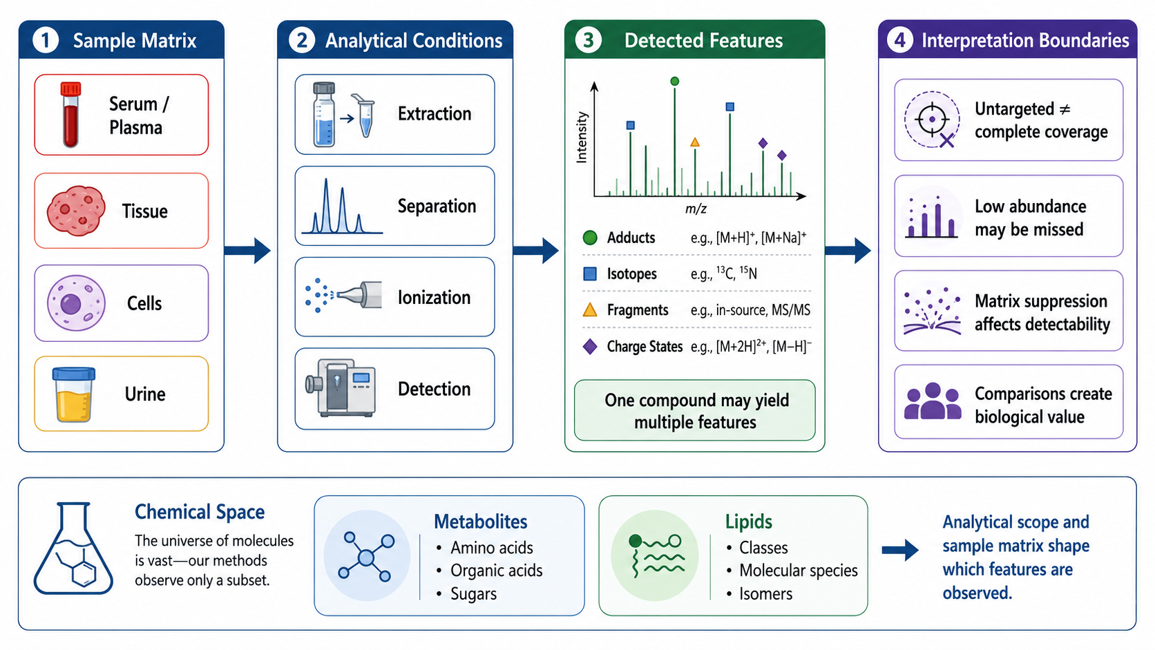 2083028199967641600-untargeted-metabolomics-and-lipidomics-services-from-broad-profiling-to-candidate-annotation-bs-product-01.png