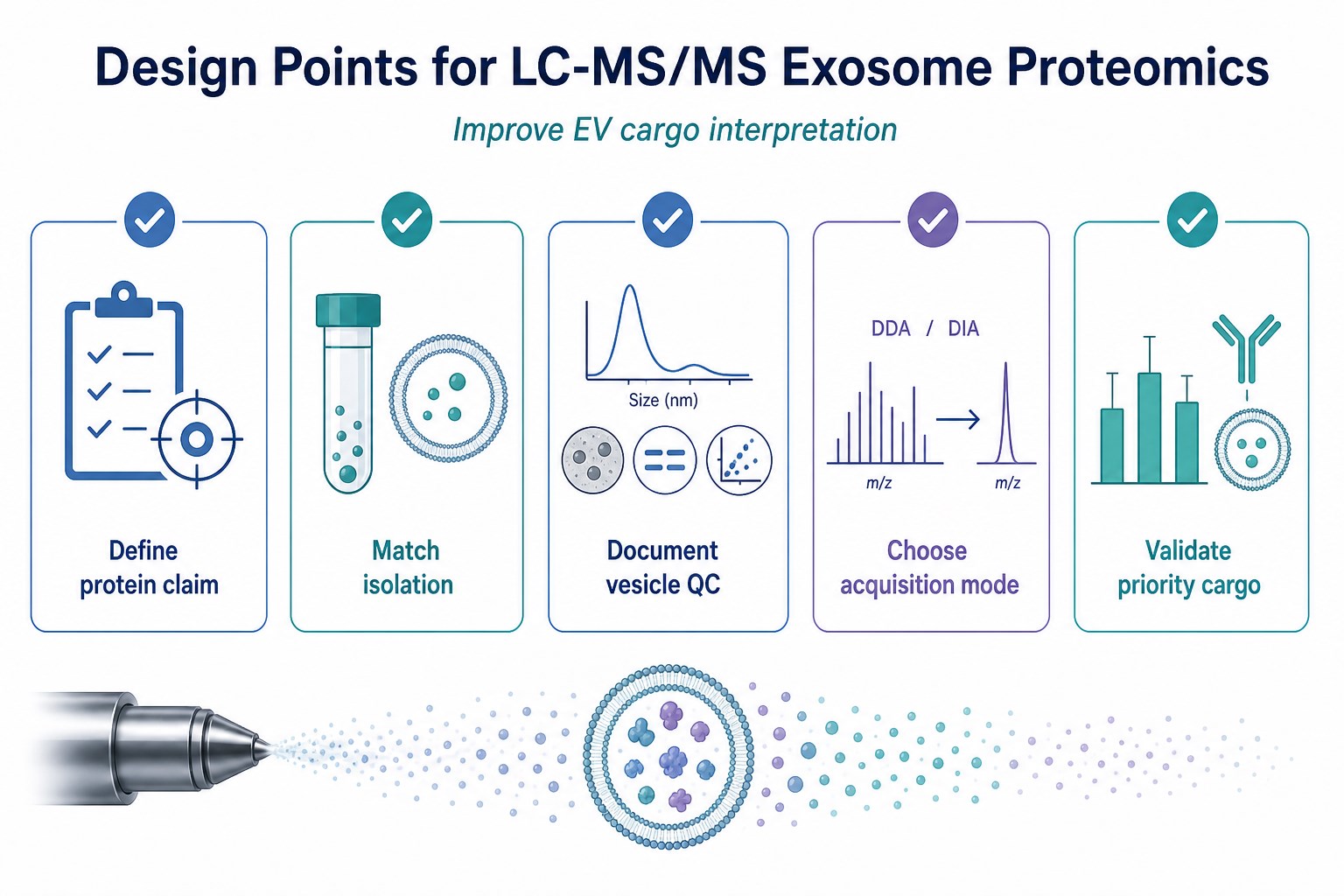 Design checklist for LC-MS/MS vesicle proteomics and reliable EV cargo profiling Design checklist for LC-MS/MS vesicle proteomics and reliable EV cargo profiling