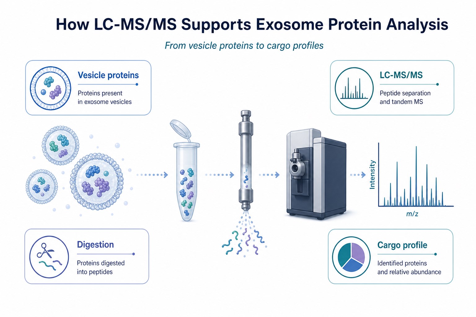 LC-MS/MS route from vesicle proteins to peptide ID and EV cargo profiling LC-MS/MS route from vesicle proteins to peptide ID and EV cargo profiling