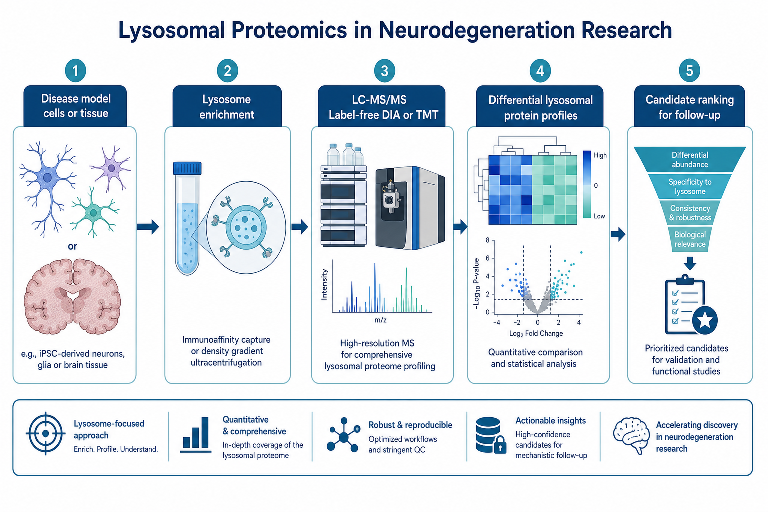 Lysosomal proteomics workflow for neurodegeneration research from disease models to candidate ranking