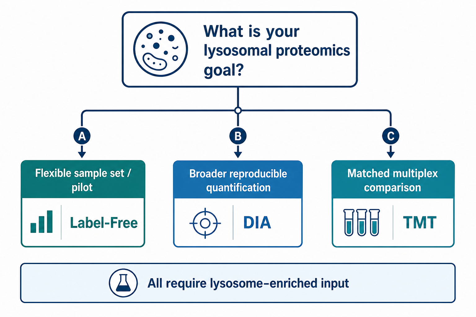 Decision path for selecting Label-free DIA or TMT in lysosomal proteomics projects Decision path for selecting Label-free DIA or TMT in lysosomal proteomics projects