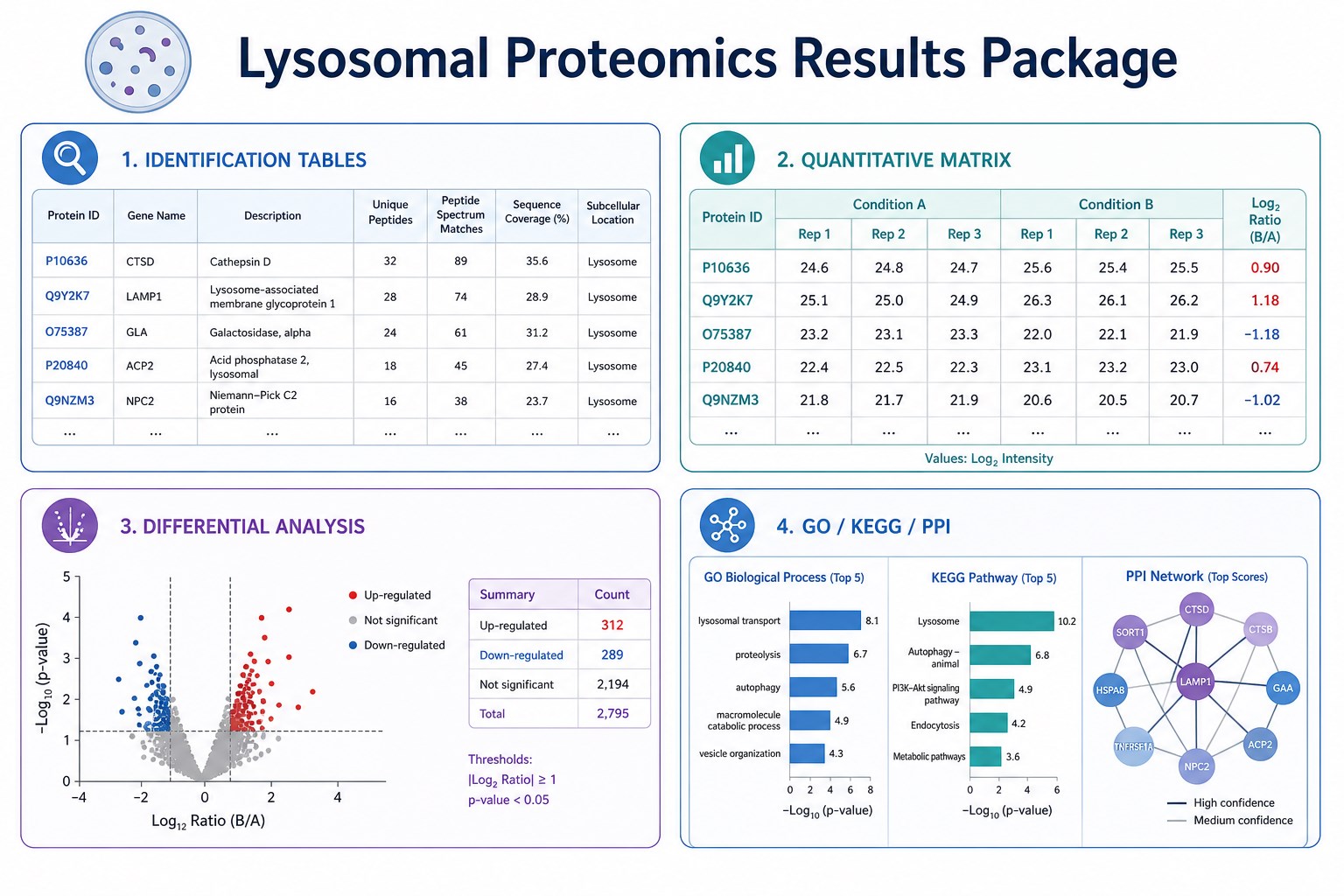 Standard result package with identification quantification differential and pathway deliverables Standard result package with identification quantification differential and pathway deliverables