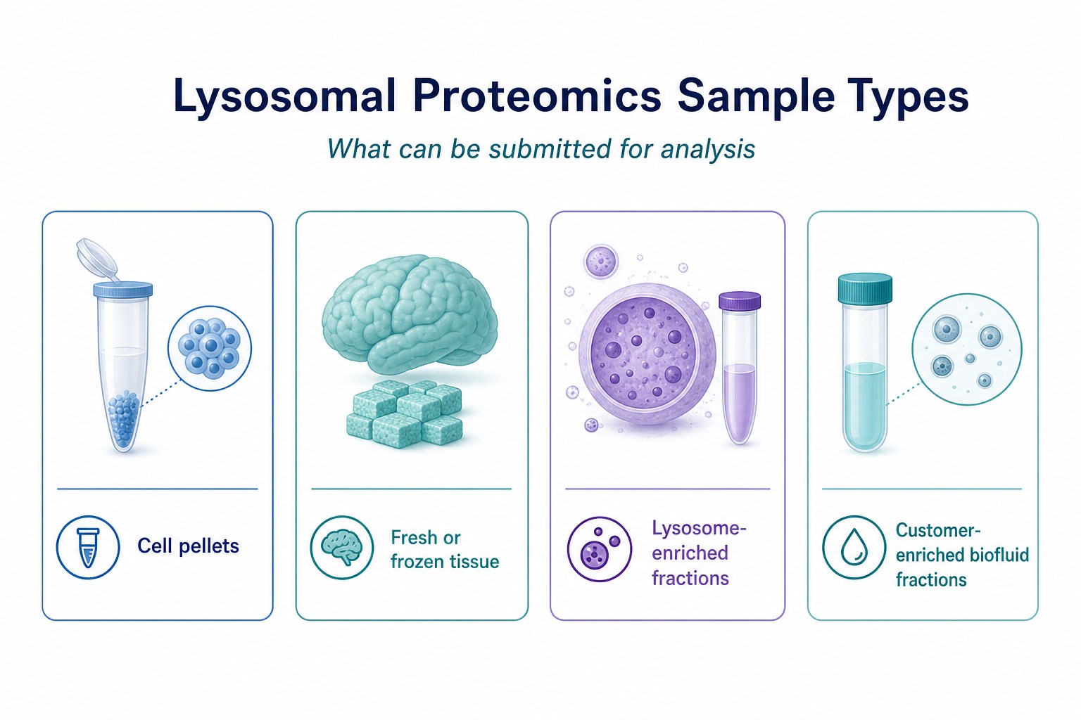 Accepted lysosome proteomics sample types including cells tissues and enriched fractions Accepted lysosome proteomics sample types including cells tissues and enriched fractions