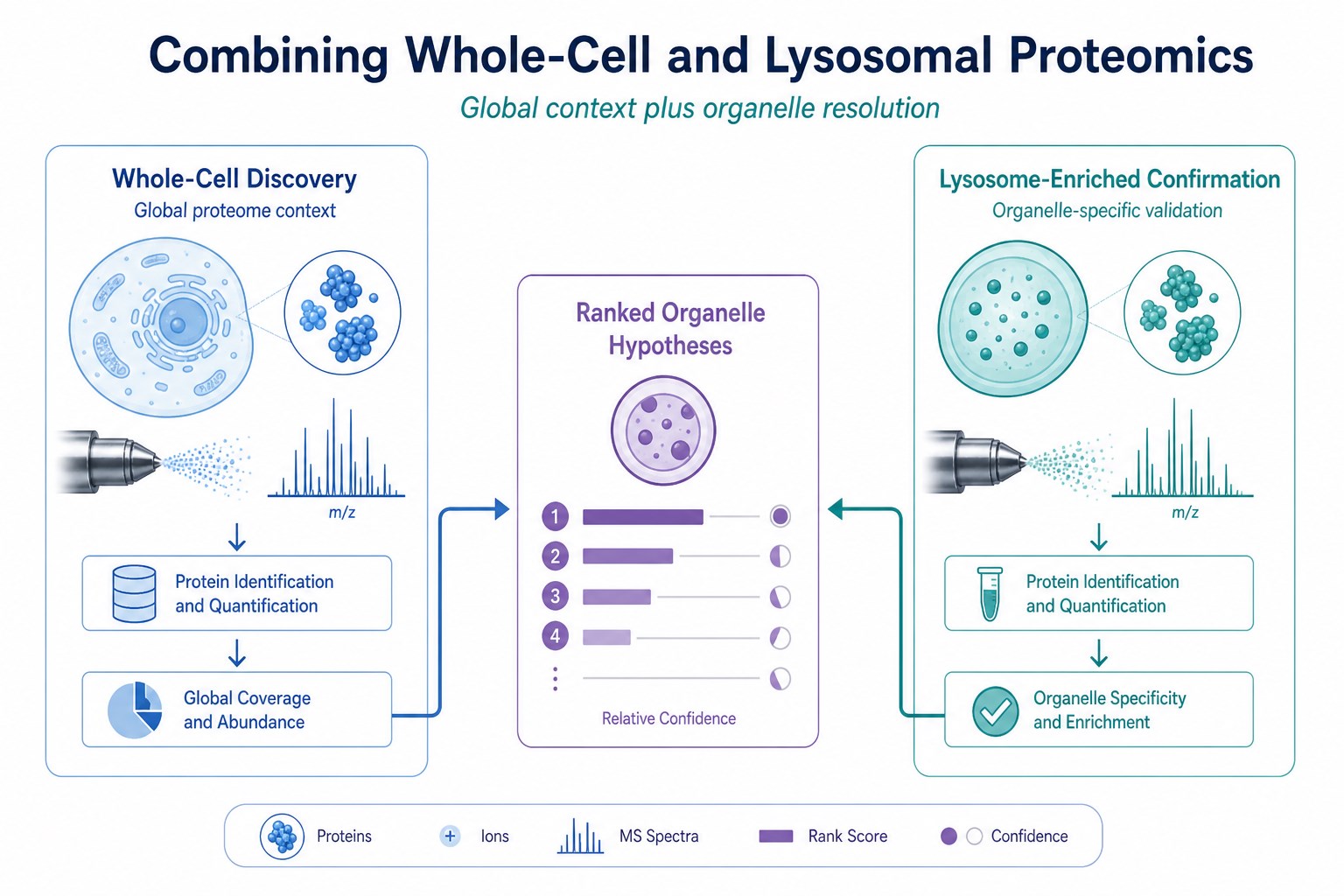 Complementary use of bulk and organelle-enriched proteomics in staged study designs