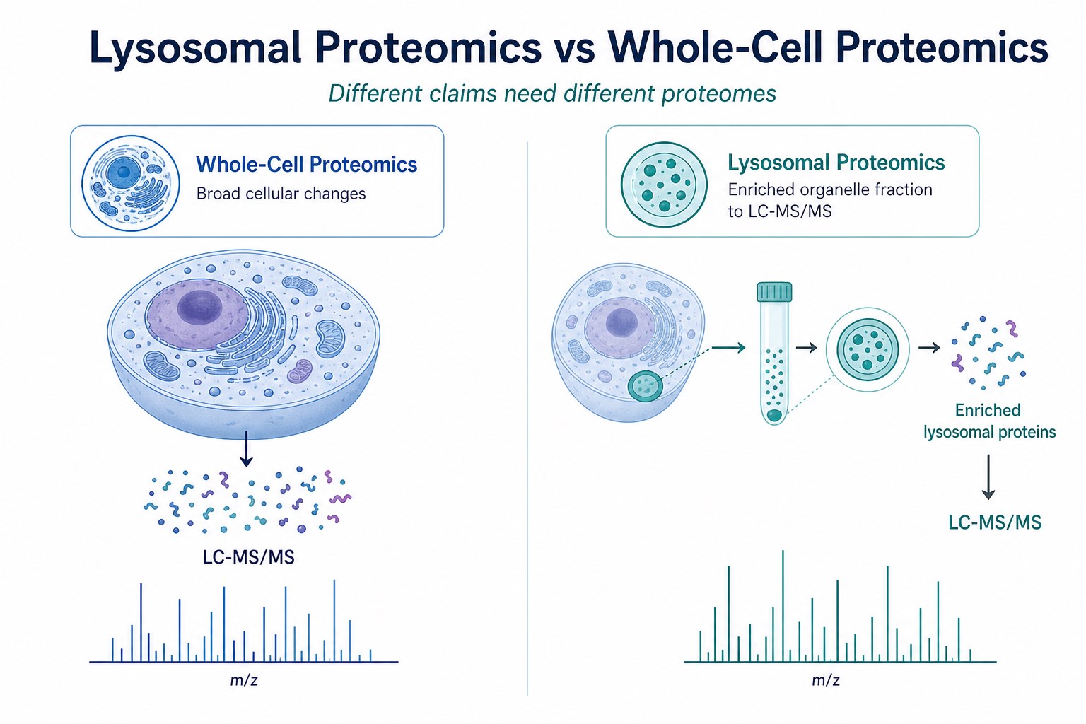 Comparison of organelle-enriched and bulk cellular proteomics for different biological claims