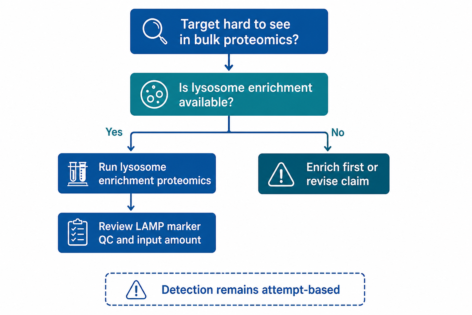 Decision path for attempting low-abundance lysosomal protein detection through lysosome enrichment proteomics Decision path for attempting low-abundance lysosomal protein detection through lysosome enrichment proteomics