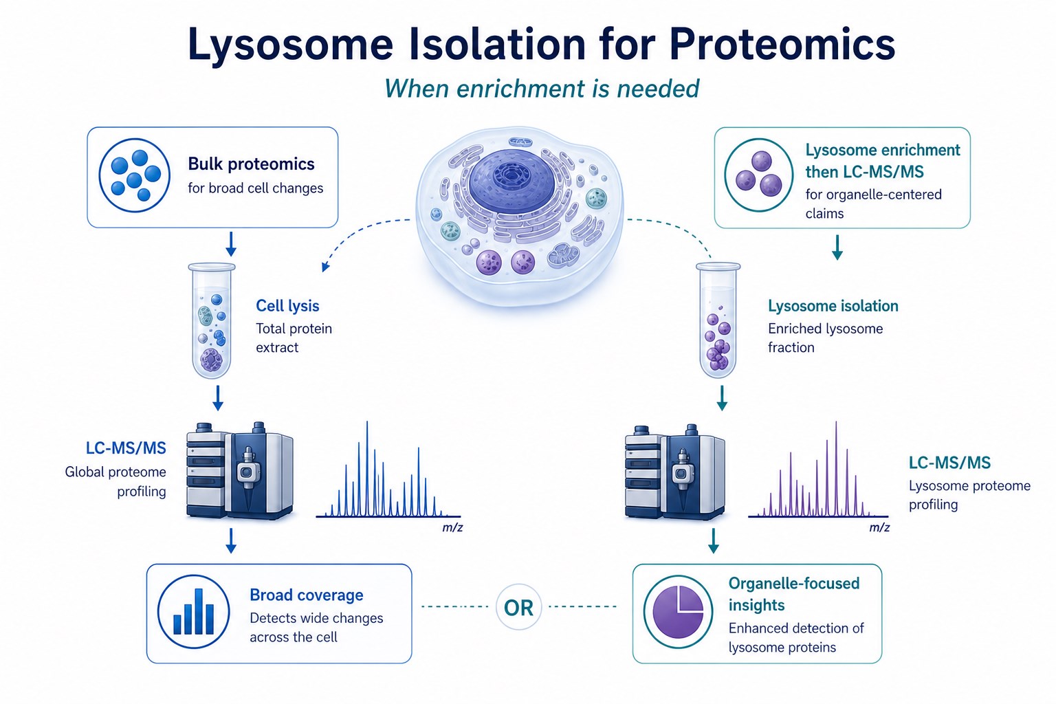 Decision overview for lysosome isolation and proteomics versus bulk proteomics Decision overview for lysosome isolation and proteomics versus bulk proteomics
