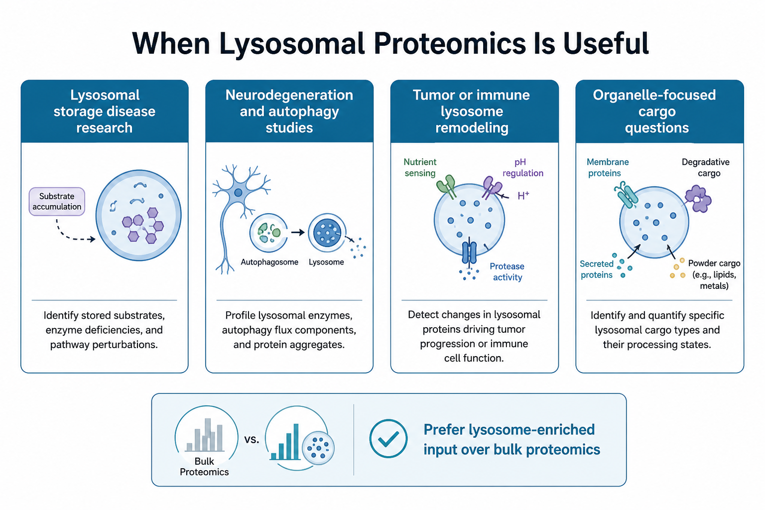 Research scenarios where lysosomal proteomics is useful including storage disease neurodegeneration tumor immune and autophagy studies