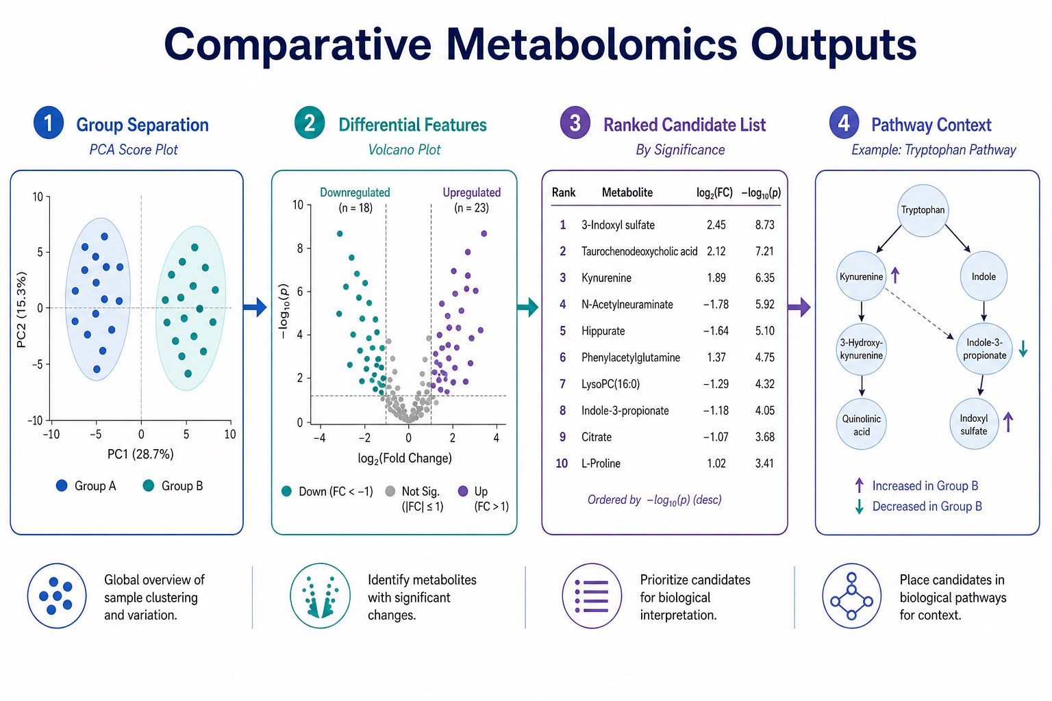 How untargeted metabolomics reveals group differences in comparative studies How untargeted metabolomics reveals group differences in comparative studies