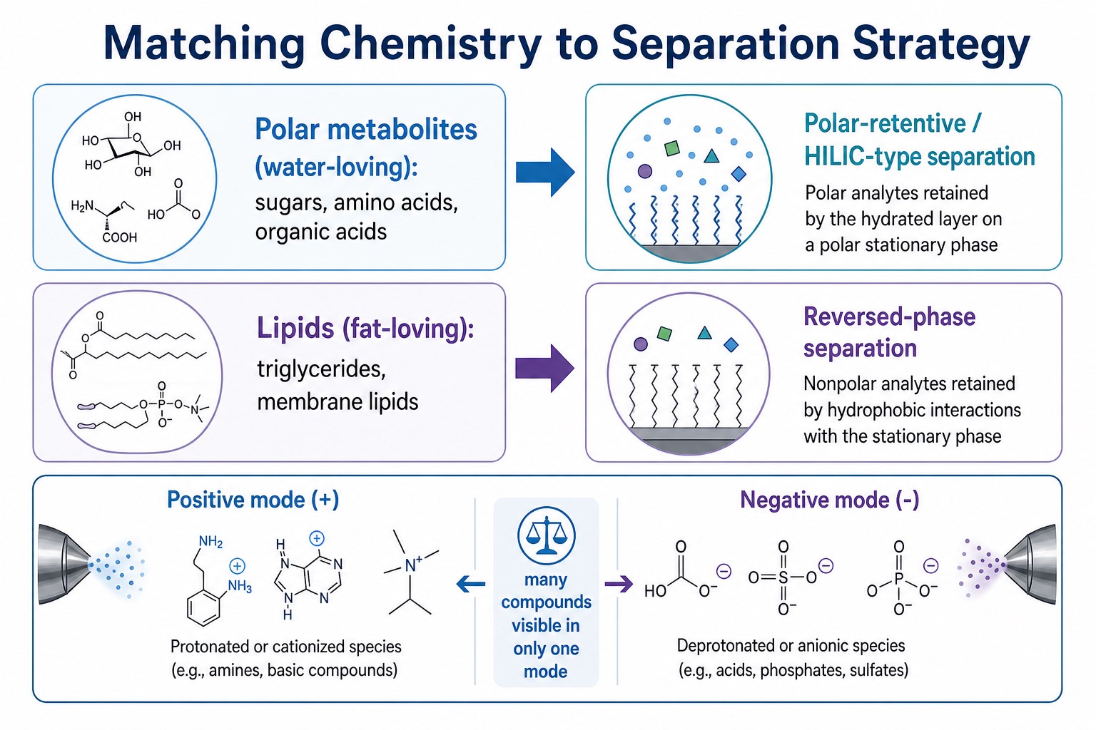 Separation and ionization strategy map for metabolites and lipids Separation and ionization strategy map for metabolites and lipids