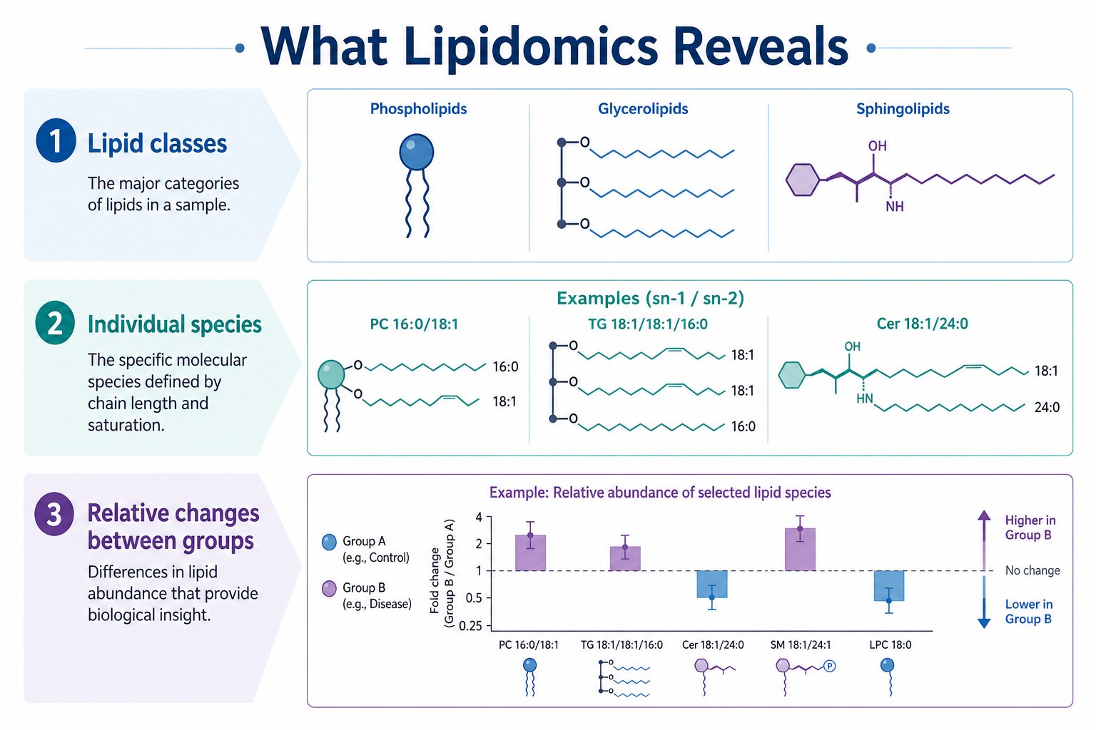 Overview of what lipidomics analysis reveals about lipid composition across classes and species Overview of what lipidomics analysis reveals about lipid composition across classes and species