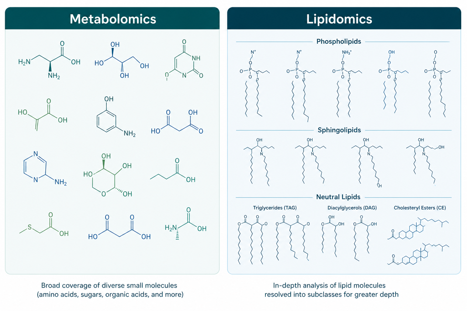 Metabolomics versus lipidomics chemical coverage comparison