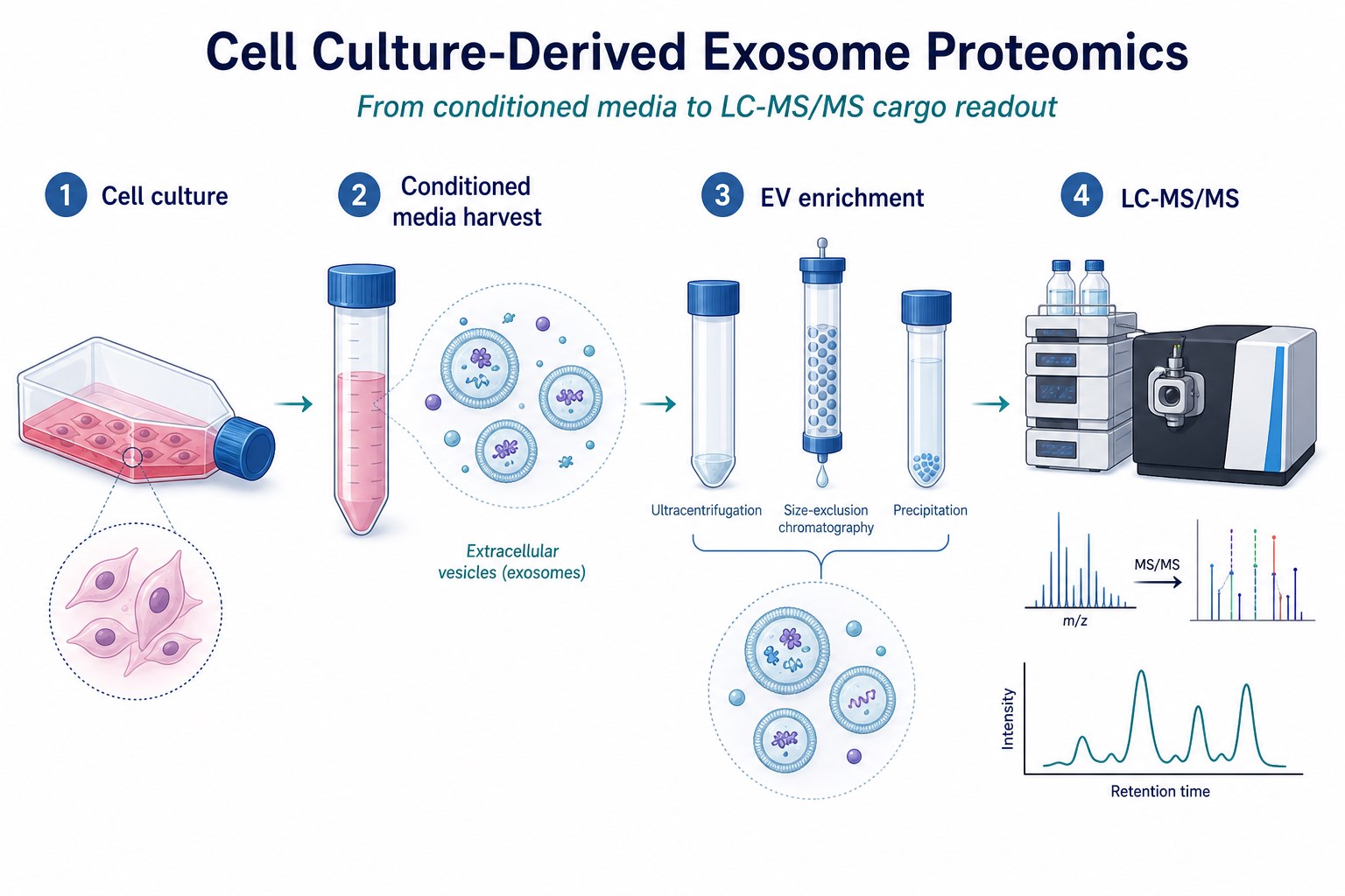 Cell culture exosome proteomics workflow from conditioned media collection to EV enrichment and LC-MS/MS Cell culture exosome proteomics workflow from conditioned media collection to EV enrichment and LC-MS/MS