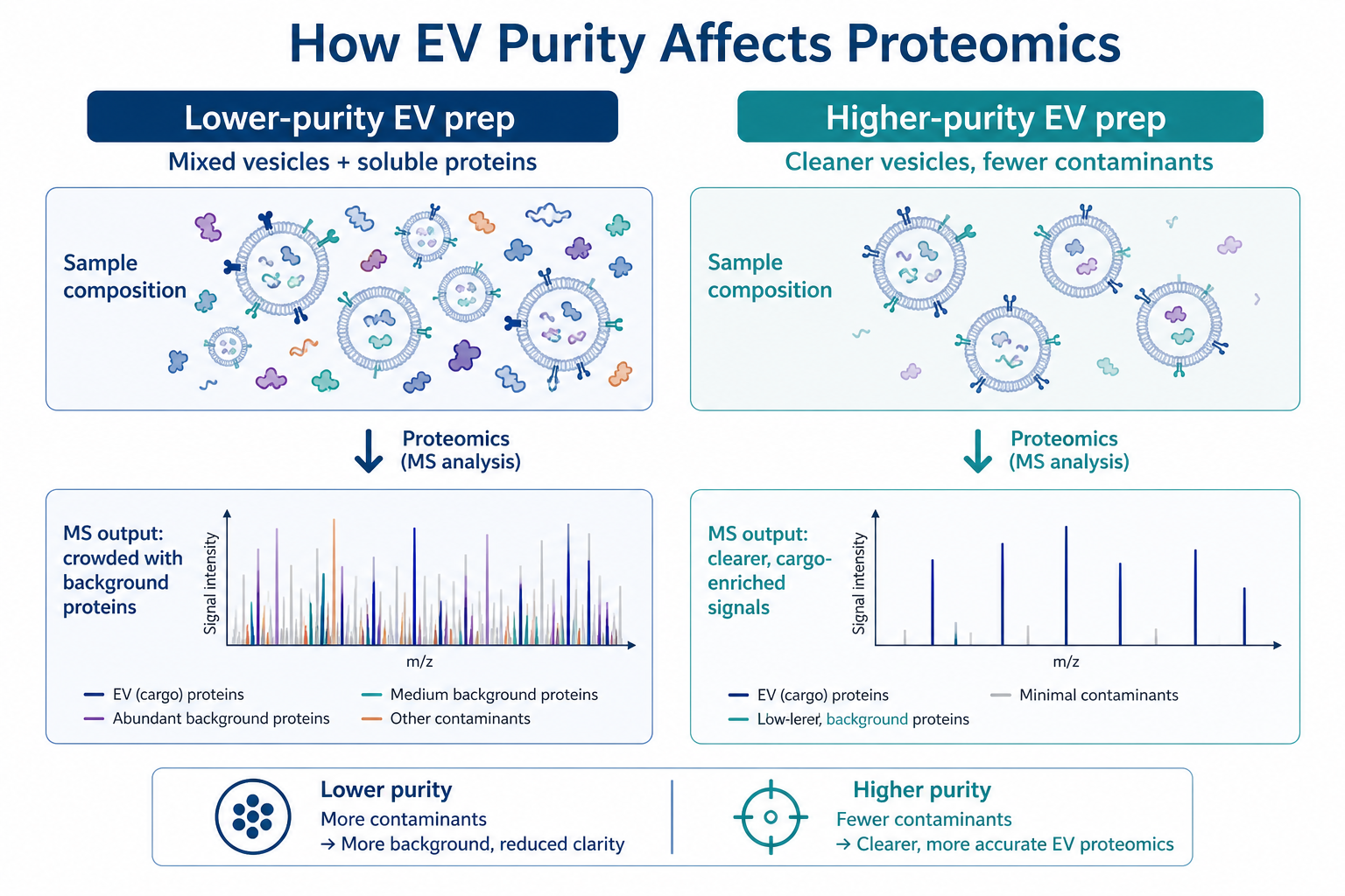 Comparison of lower-purity and higher-purity EV preparations and their effects on exosome proteomics backgrounds