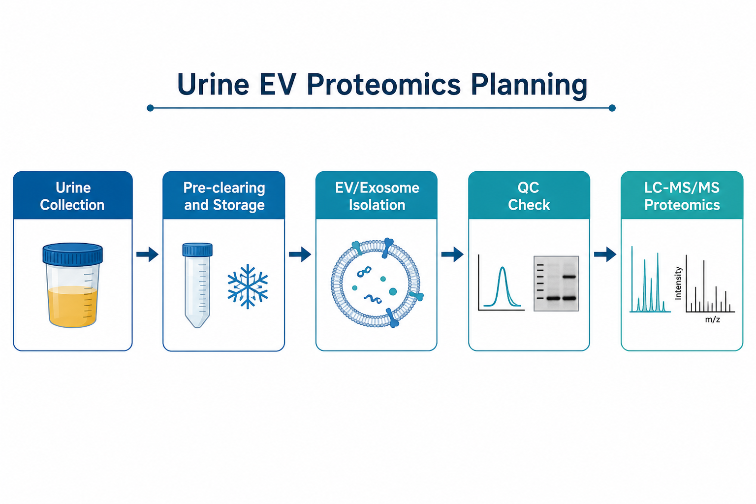 Urine EV proteomics planning workflow from urine collection through isolation QC and LC-MS/MS Urine EV proteomics planning workflow from urine collection through isolation QC and LC-MS/MS