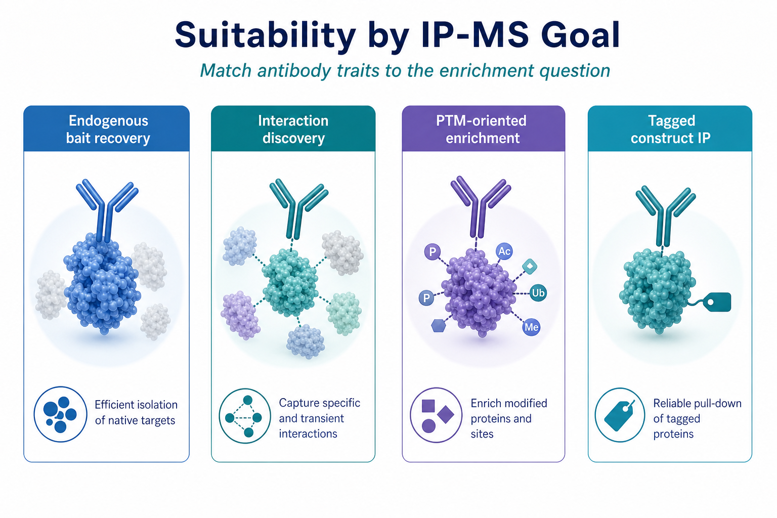 Validation level affects bait recovery, background, and whether IP-MS output supports partner ranking Validation level affects bait recovery, background, and whether IP-MS output supports partner ranking
