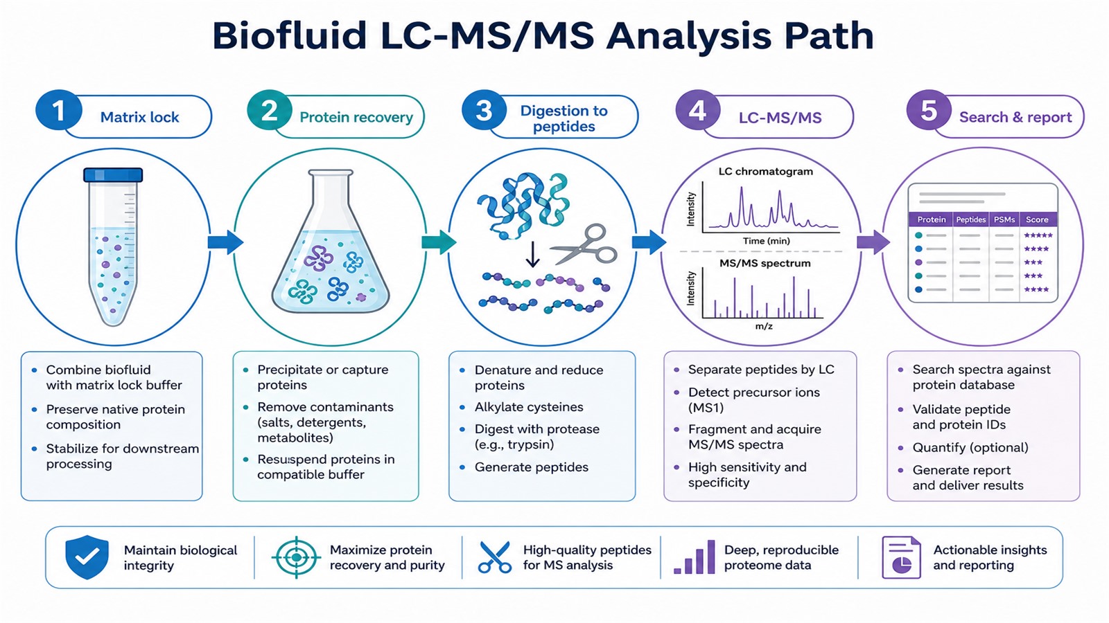 End-to-end LC-MS/MS workflow for serum plasma and CSF proteomics End-to-end LC-MS/MS workflow for serum plasma and CSF proteomics