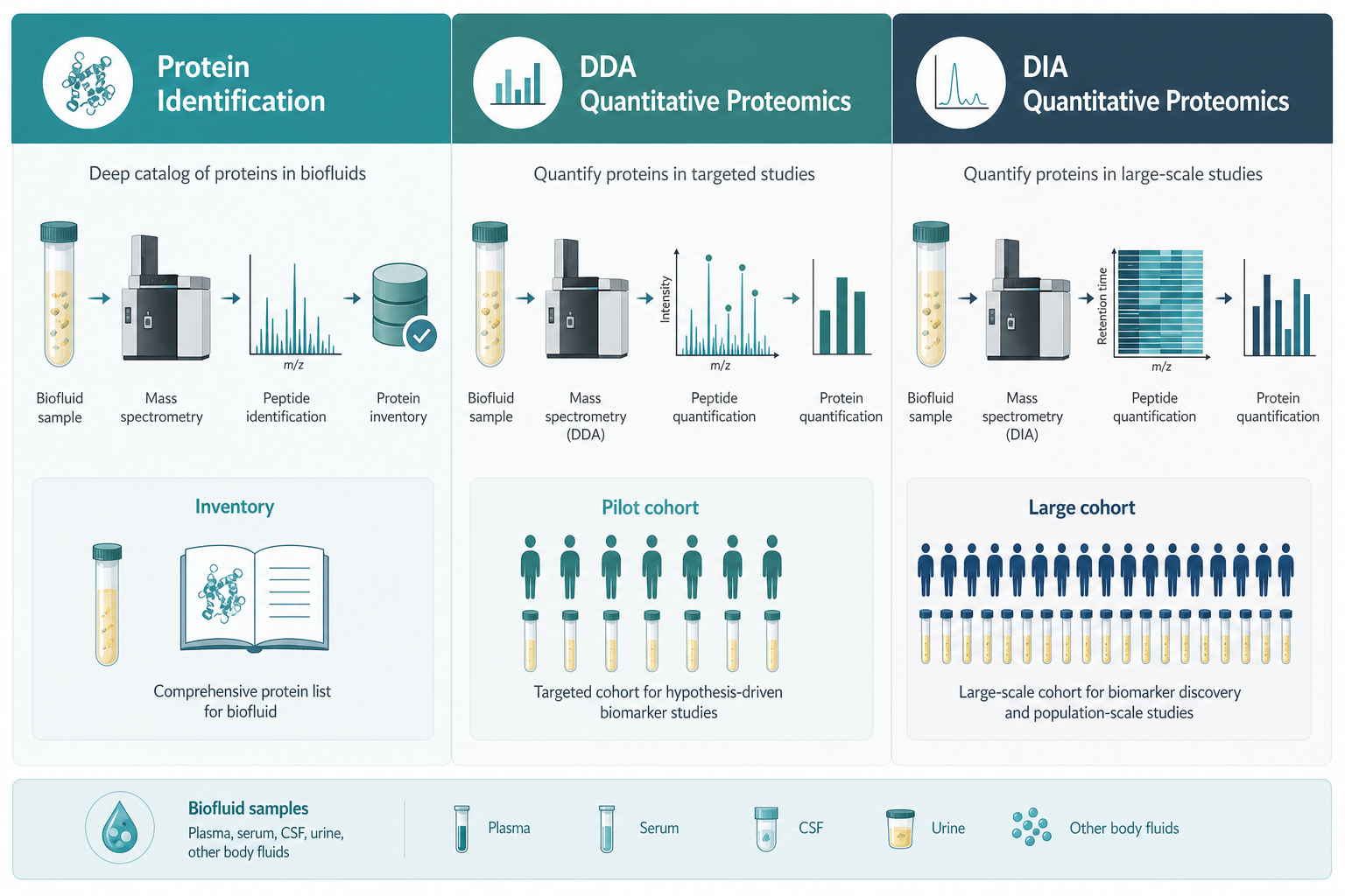 Comparison of identification DDA and DIA routes for serum plasma CSF protein analysis Comparison of identification DDA and DIA routes for serum plasma CSF protein analysis