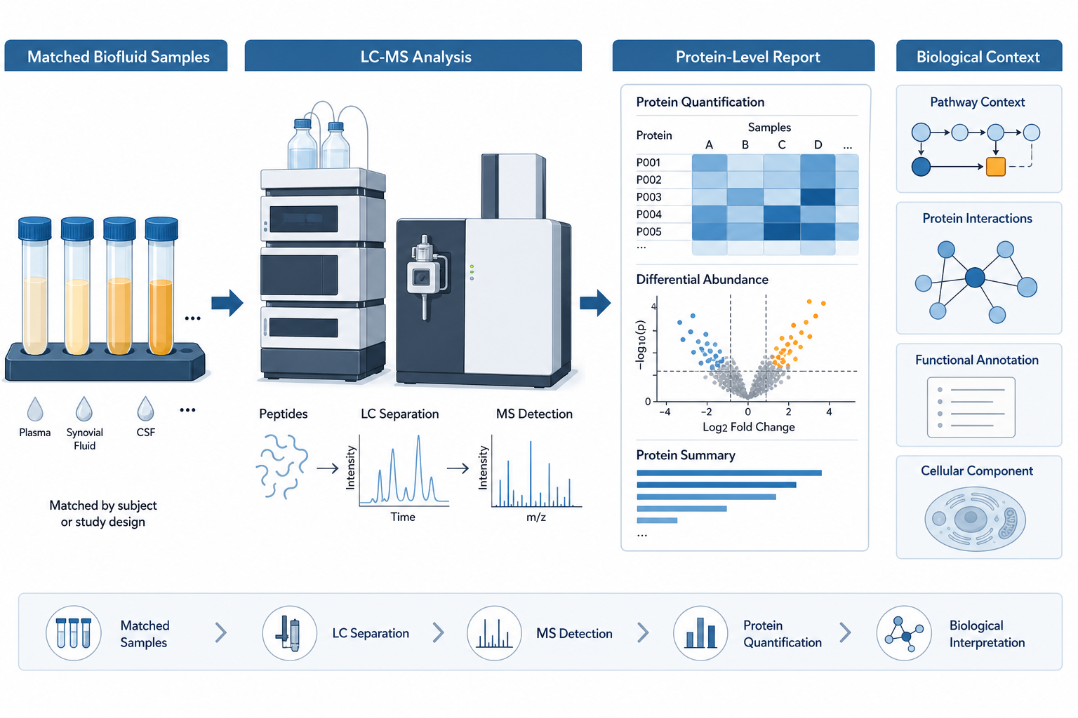 From controlled biofluid samples to a reviewable protein-level report
