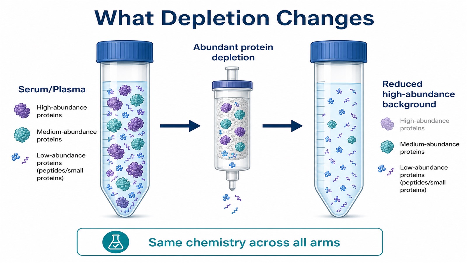 How abundant protein depletion changes the serum and plasma proteomics path How abundant protein depletion changes the serum and plasma proteomics path
