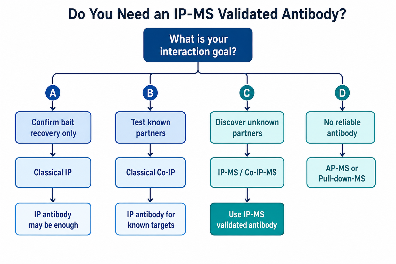 Decision path for whether IP validation is sufficient or IP-MS validation is required Decision path for whether IP validation is sufficient or IP-MS validation is required