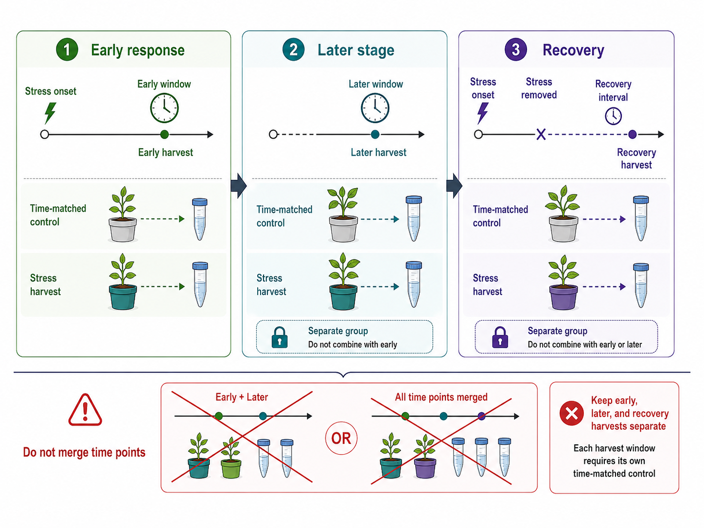 2085179375026786304-AbioticStressProteomicsHowtoPlanSamples,Groups,andTimePoints2.png