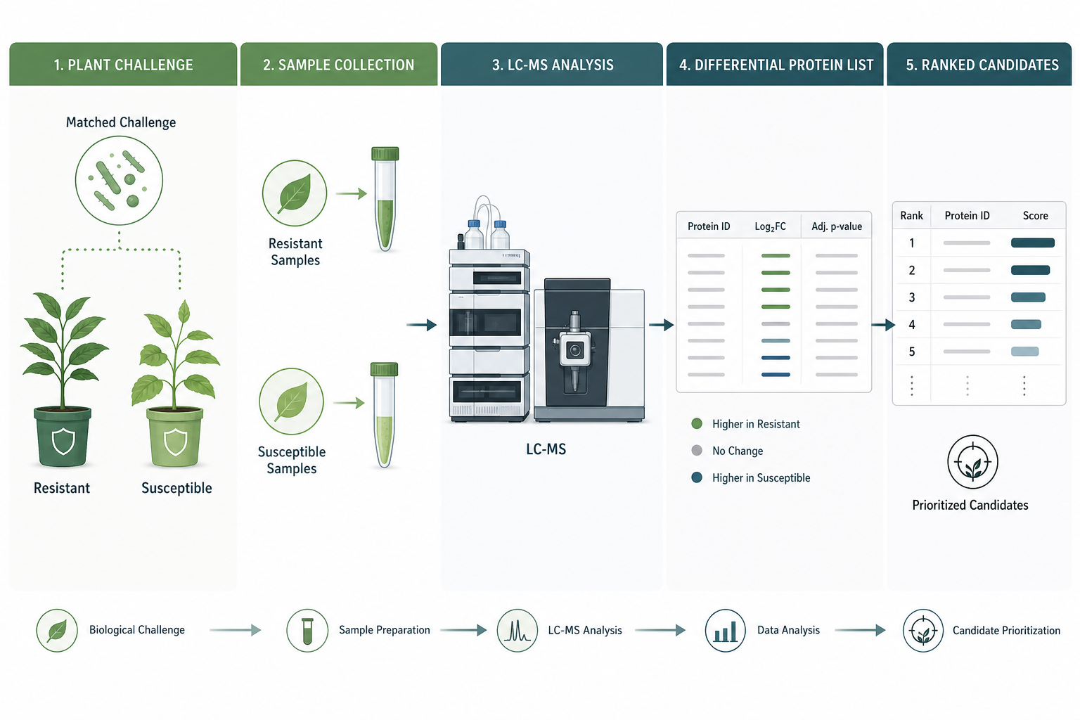 2085180990232285184-comparative-plant-proteomics-how-to-find-differential-proteins-in-resistant-plants1.jpg