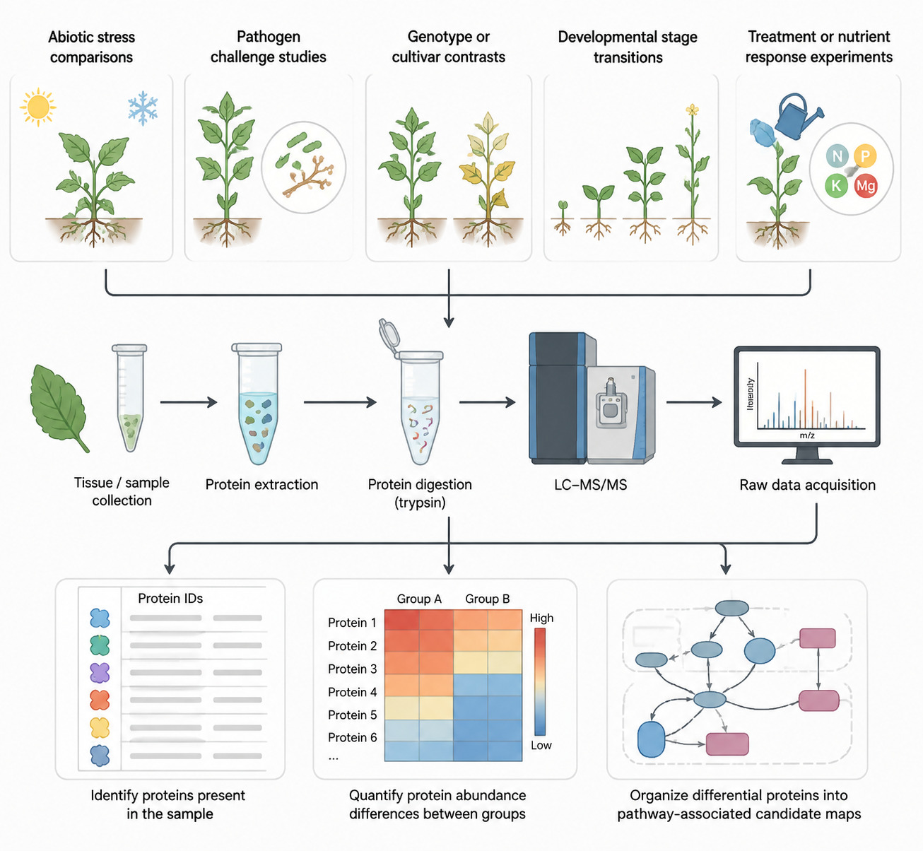 2085181235817172992-application-of-proteomics-in-plant-research1.png