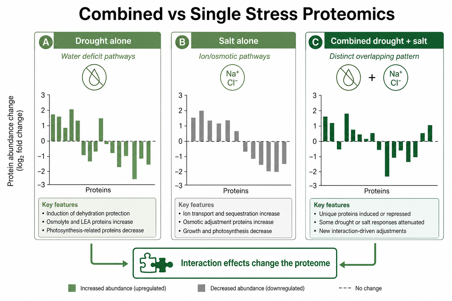 Why combined drought and salt stress produce different proteomic profiles than single-stress treatments in plant proteomics Why combined drought and salt stress produce different proteomic profiles than single-stress treatments in plant proteomics