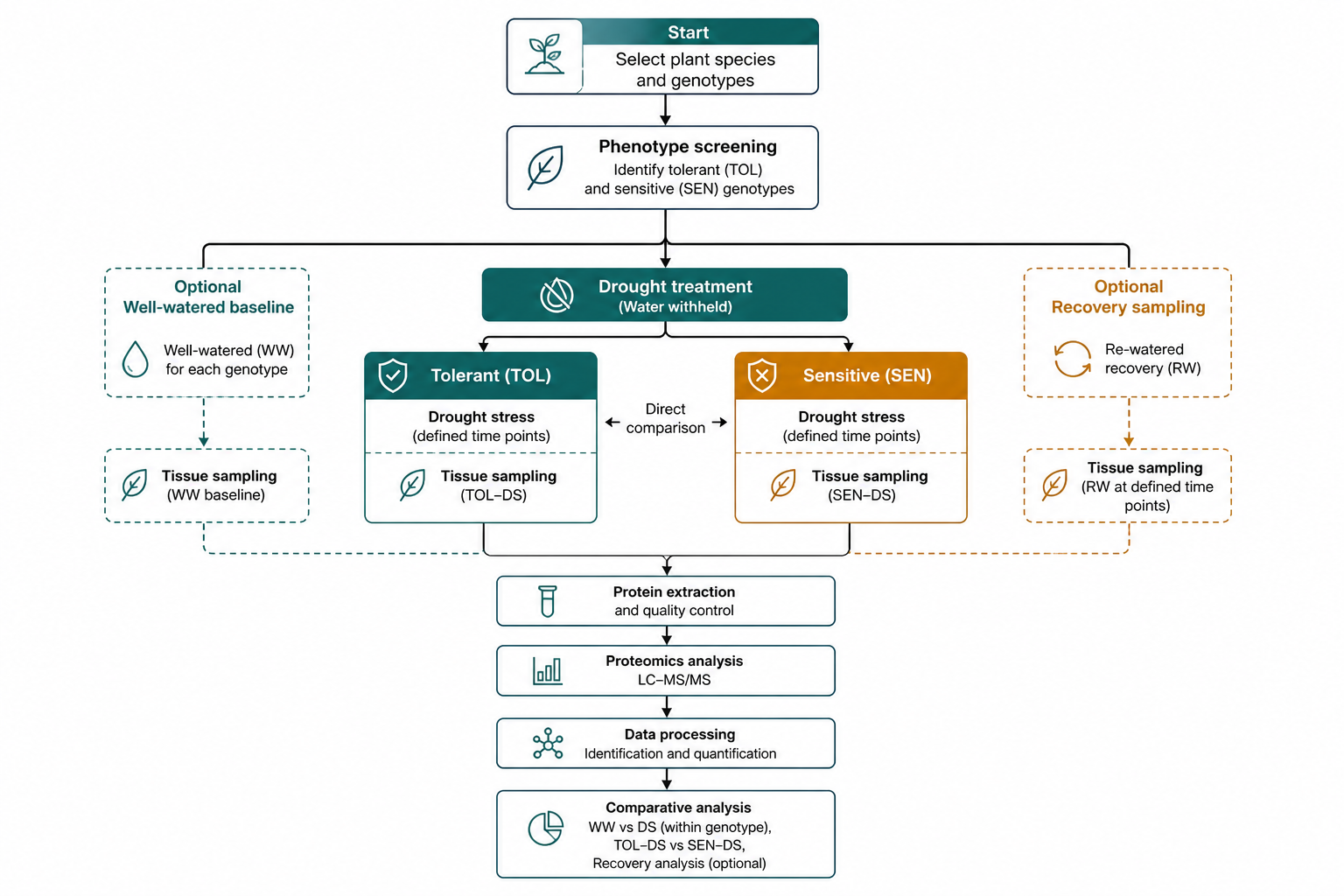 Decision path for interpreting drought stress proteomics across contrasting plant lines Decision path for interpreting drought stress proteomics across contrasting plant lines