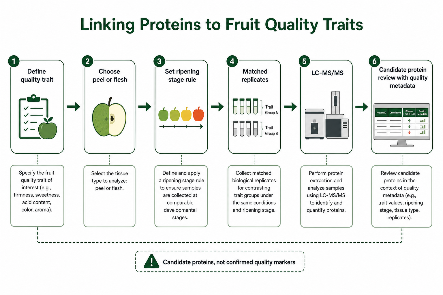 Decision path for fruit ripening proteomics and quality trait linkage Decision path for fruit ripening proteomics and quality trait linkage